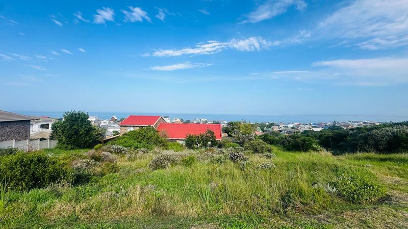0 Bedroom Property for Sale in Reebok Western Cape